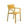 Kép 1/6 - TRILL ARMCHAIR - Kültéri monobloc szék karfával (senape)